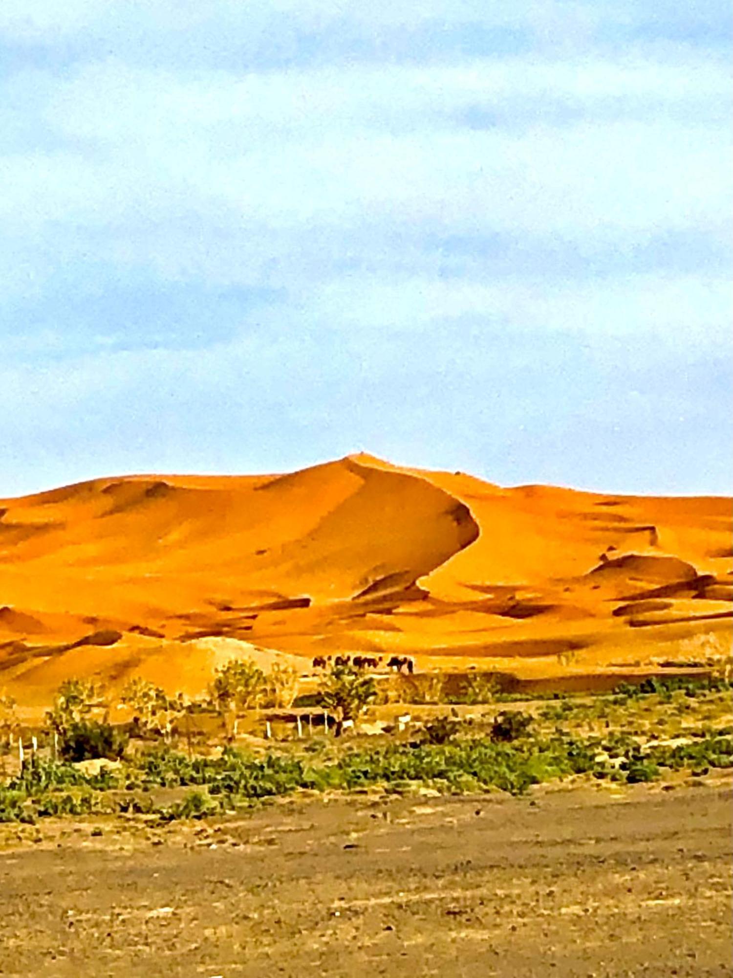 Bivouac La Fibule Des Dunes Merzouga Zewnętrze zdjęcie